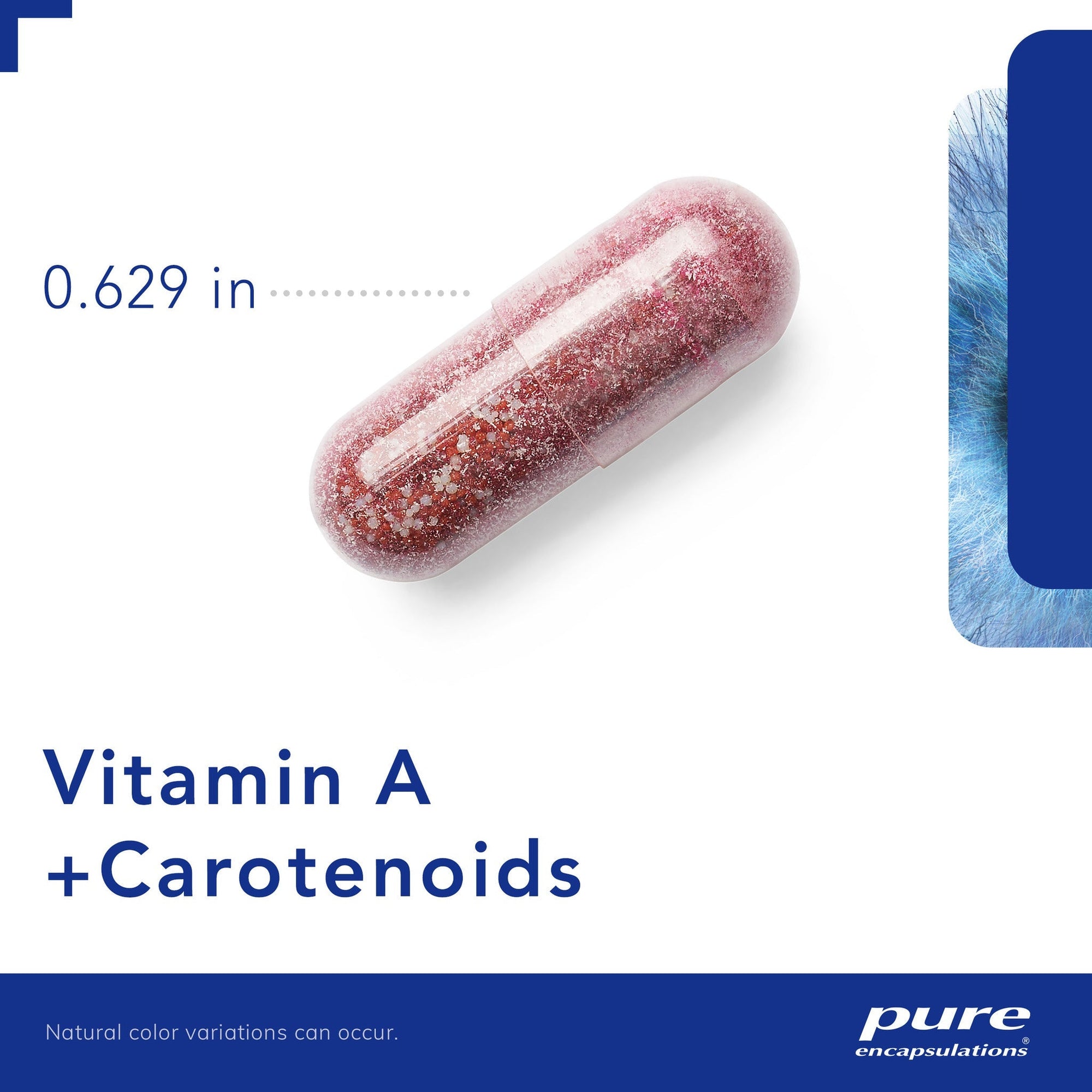 https://cdn.shopify.com/s/files/1/0283/6145/7698/t/2/assets/2d8751ba6a9d--VA53-3-PURE-US-IS.jpg?v=166377486