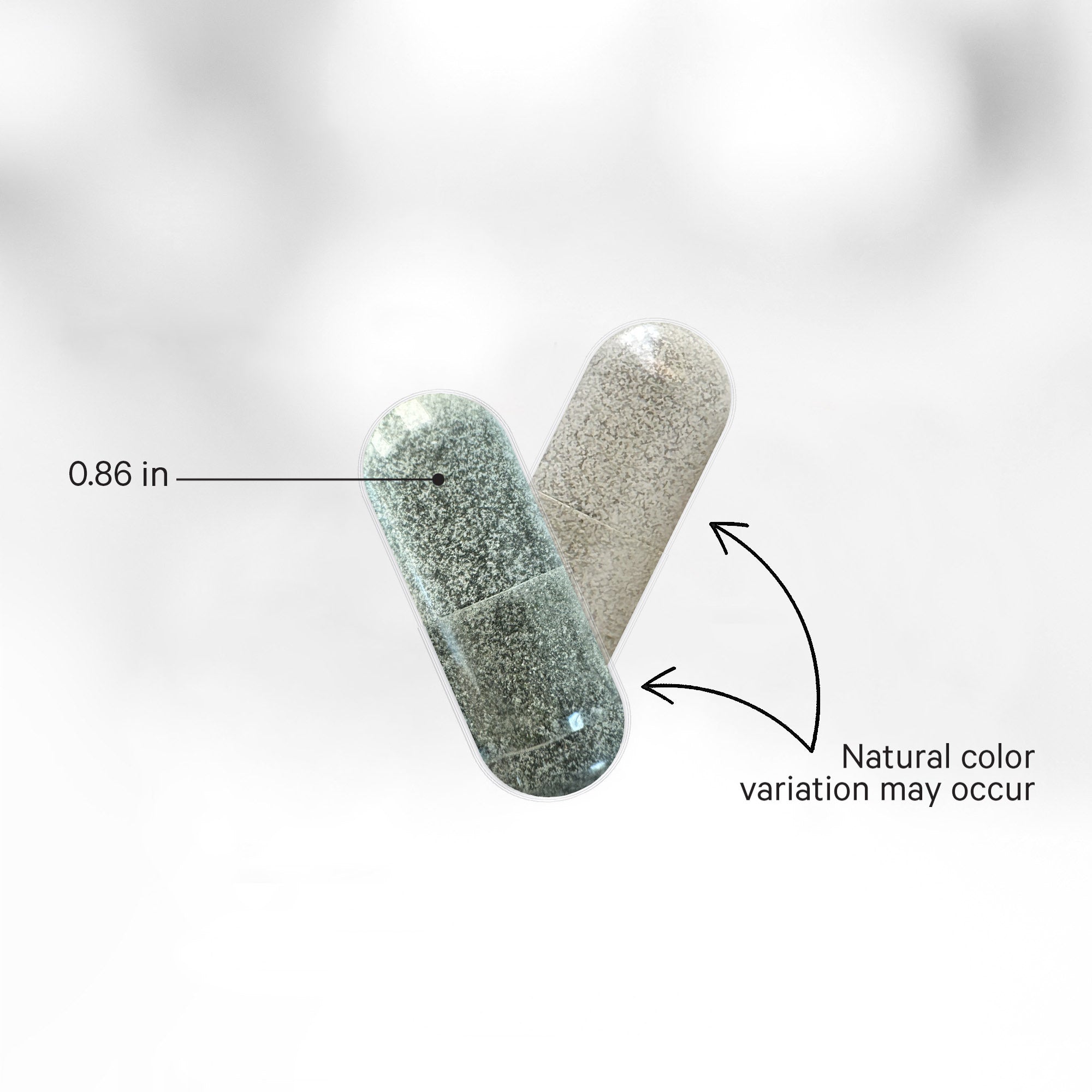 Binder + Full Spectrum