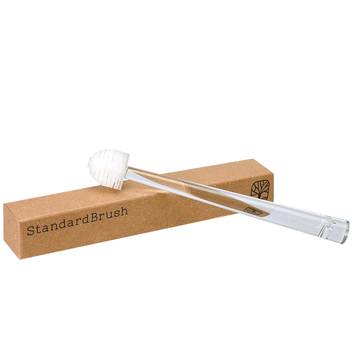 https://nht.co.nz/wp-content/uploads/2025/02/Brush_box-copy.png