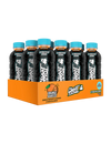 https://cdn.shopify.com/s/files/1/0537/0291/8323/files/Ghost_Hydration-RTD_Case_Orange-Squeeze.webp?v=1744066084