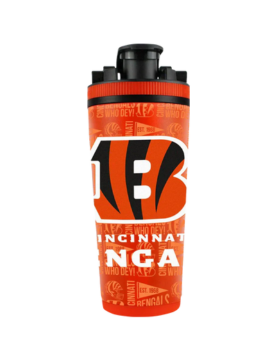 Officially Licensed NFL Ice Shaker