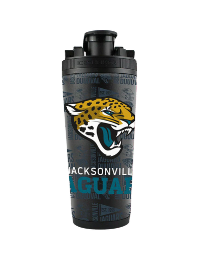 Officially Licensed NFL Ice Shaker