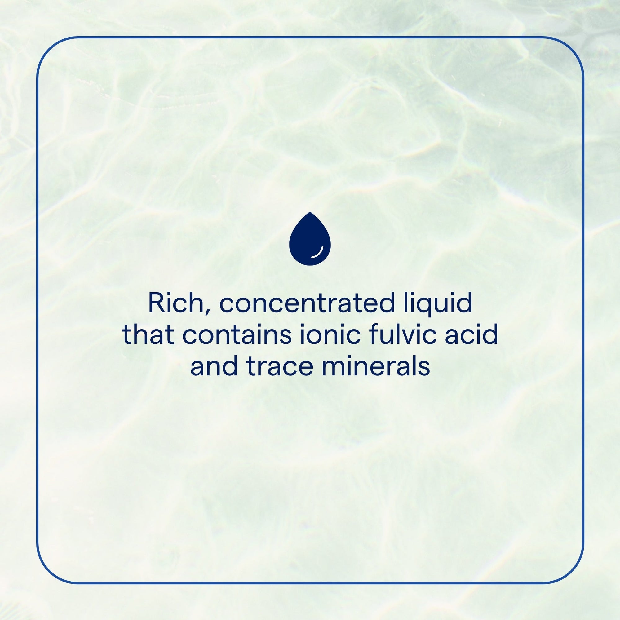 Ionic Fulvic Acid