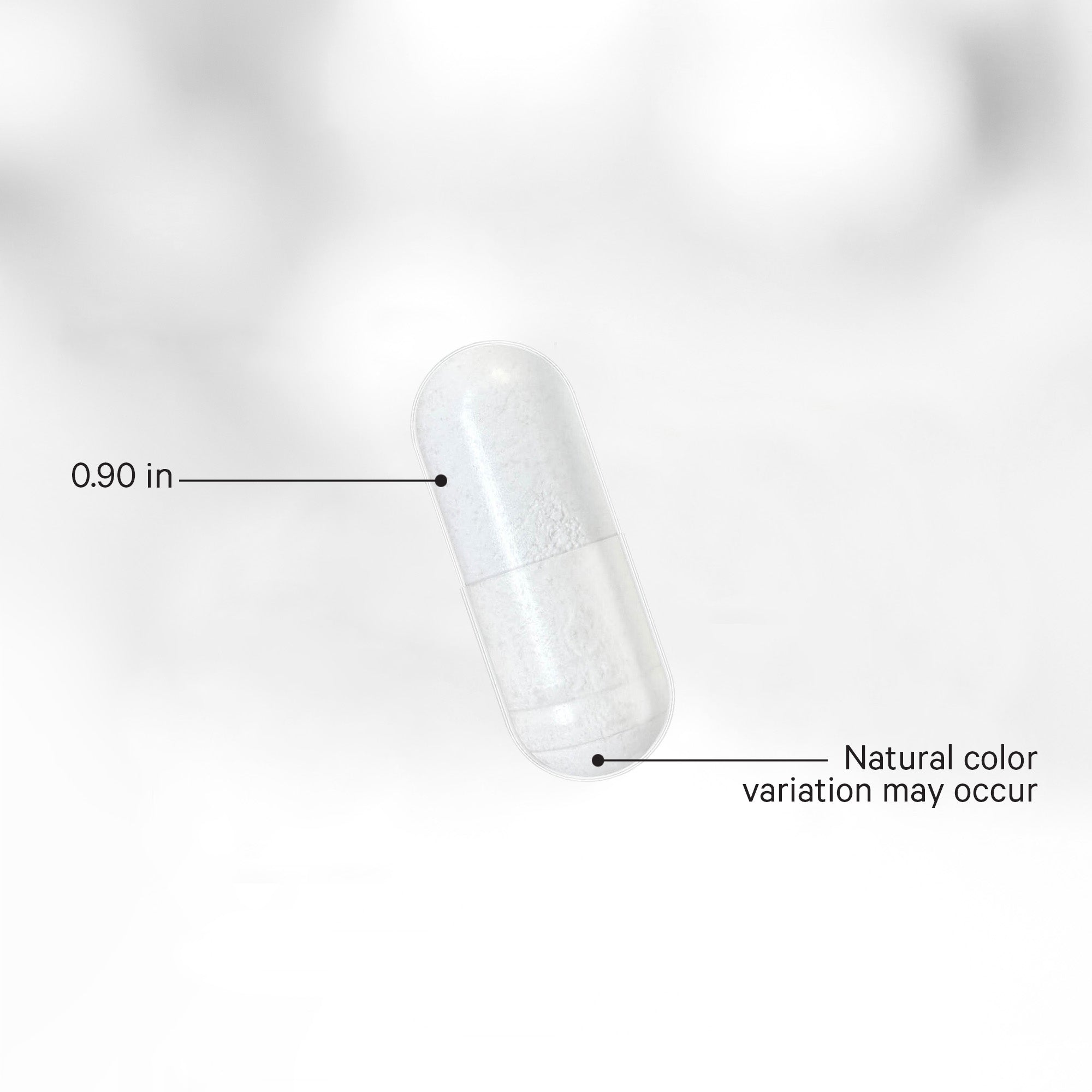 Liposomal Nicotinamide Riboside+ Large