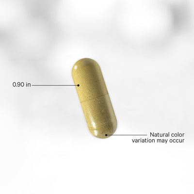 Men’s Daily Multivitamin+