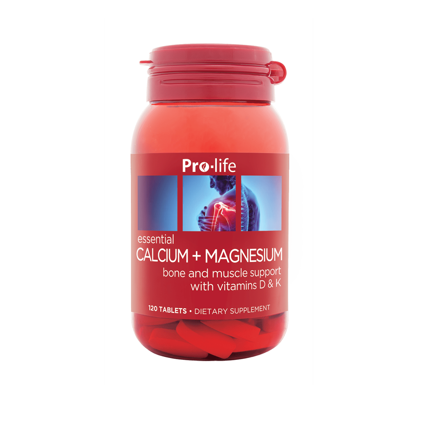 https://cdn.shopify.com/s/files/1/2487/2270/files/PL_Calcium_Magnesium_120s_M.png?v=1728401671