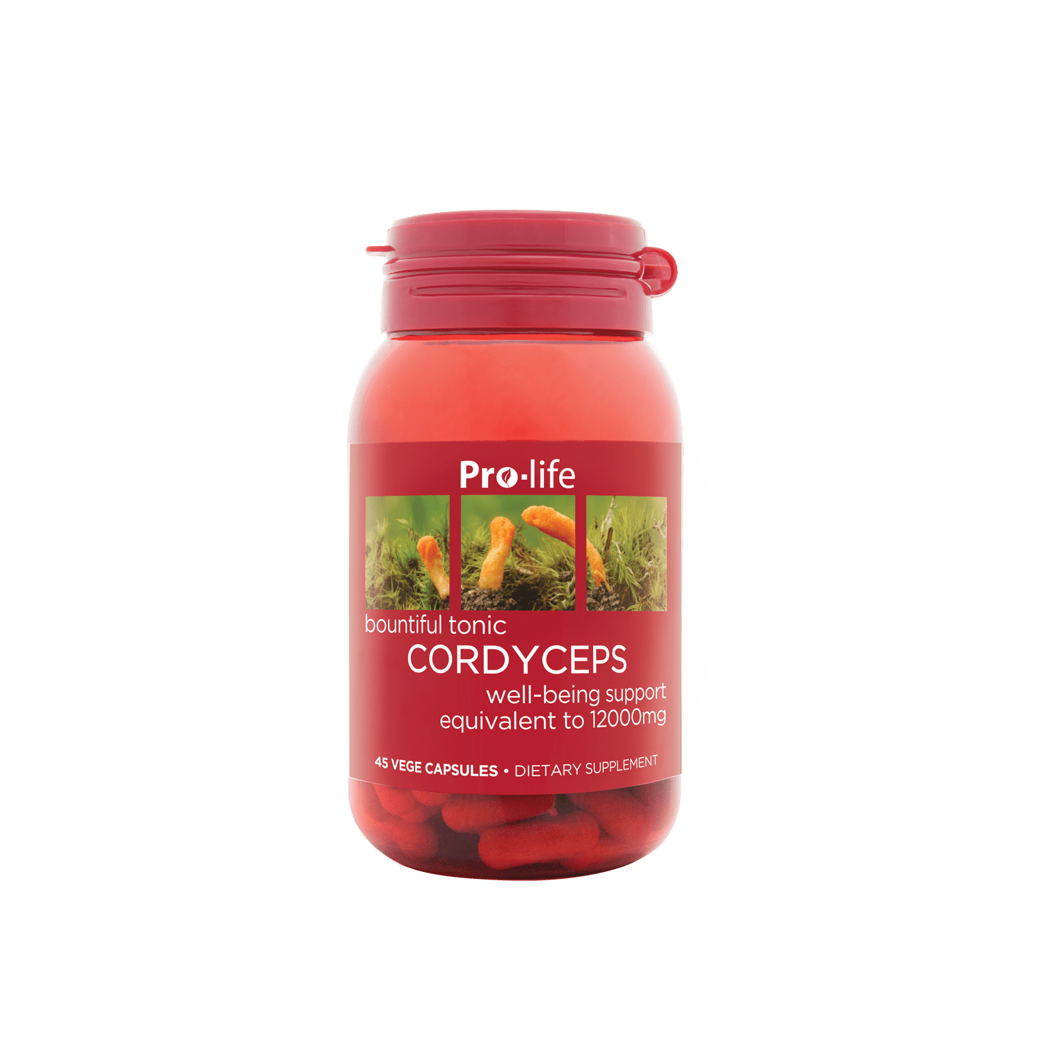 https://cdn.shopify.com/s/files/1/2487/2270/files/PL_Cordyceps_45s_S.png?v=1728566610