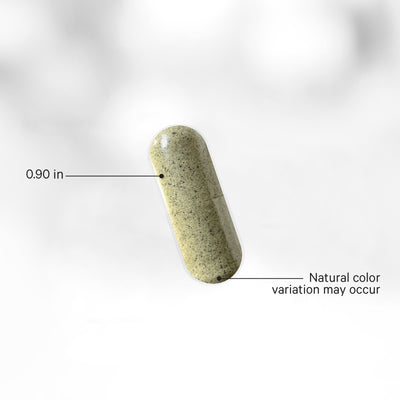 Raw Wildcrafted Sea Moss