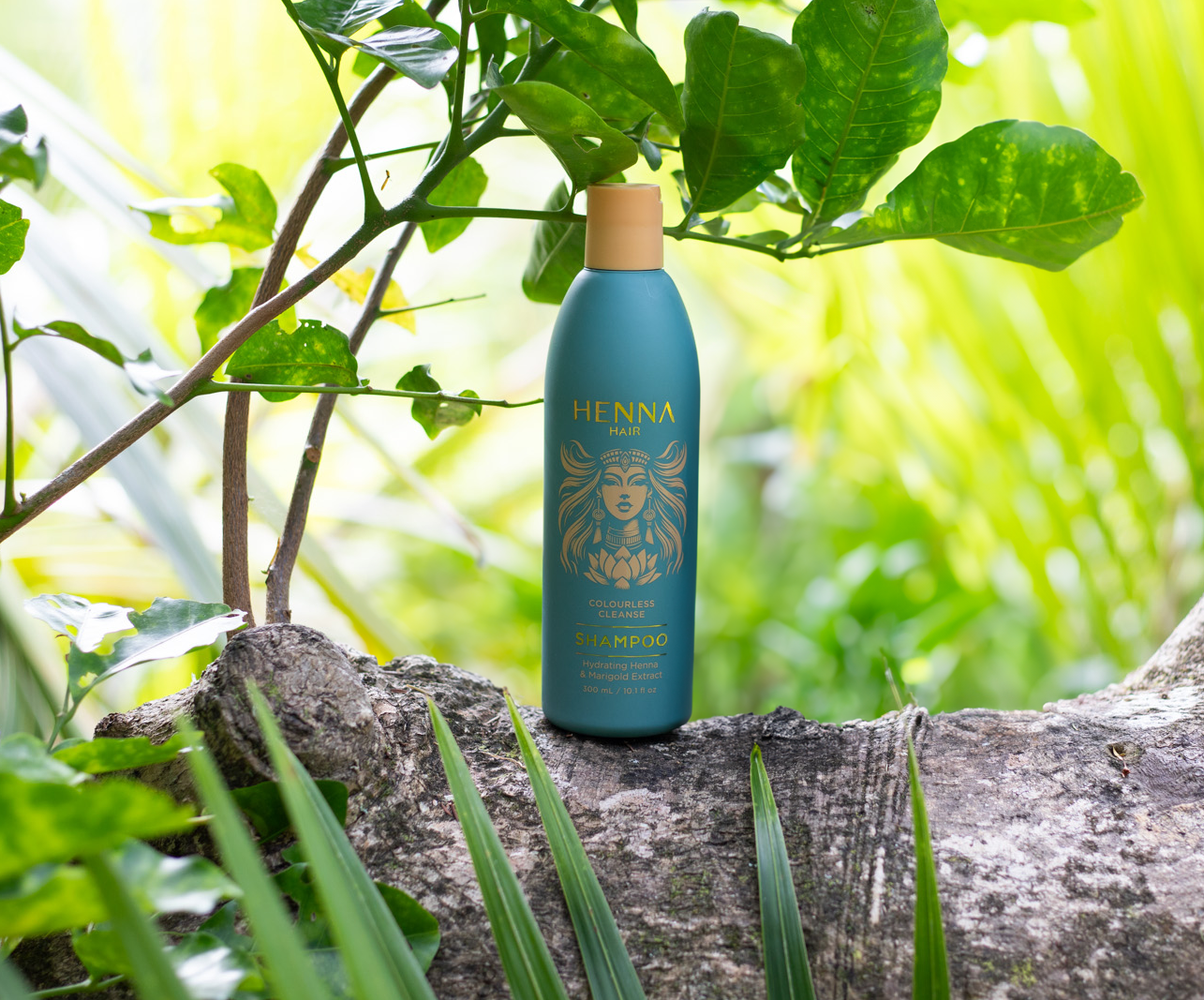 https://cdn.shopify.com/s/files/1/0690/3024/8688/files/Shampoo2.png?v=1736670095