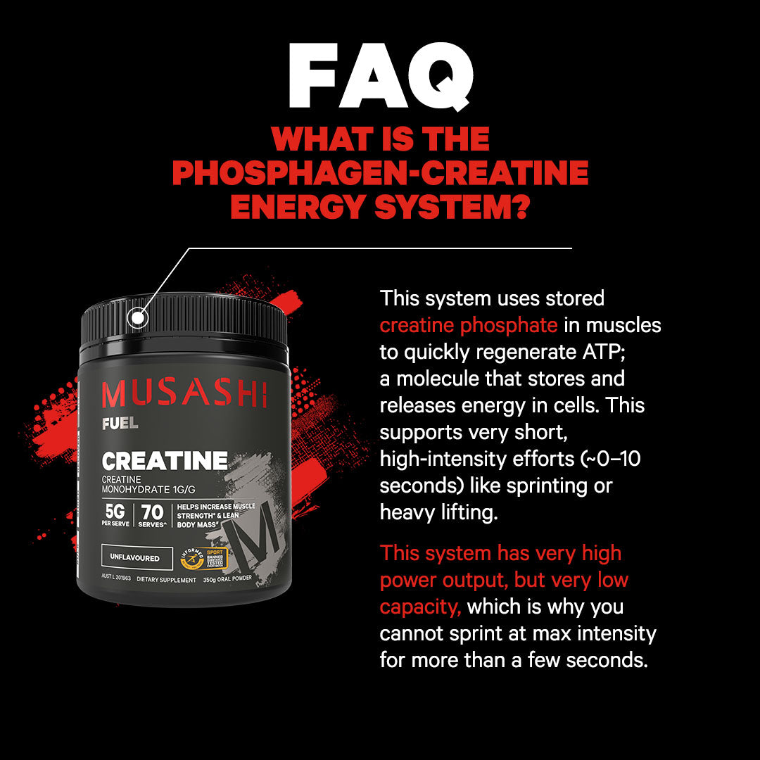 https://cdn.shopify.com/s/files/1/0882/2741/4323/files/VIT0470creatineunflavouredpowderFAQ-11080x1080v03.jpg?v=1760061841