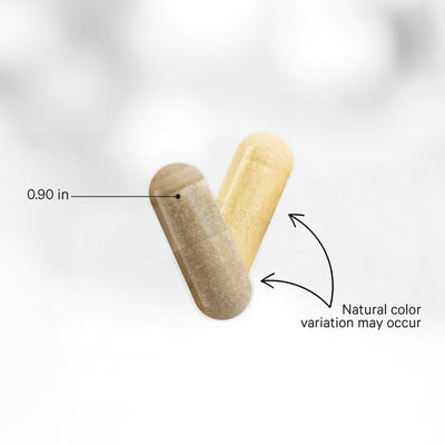 Women’s Daily Multivitamin+