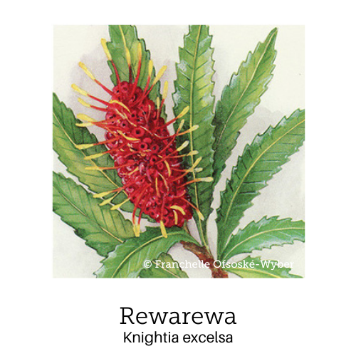 https://cdn.shopify.com/s/files/1/0871/5596/6256/files/no33rewarewa.png?v=1717055309