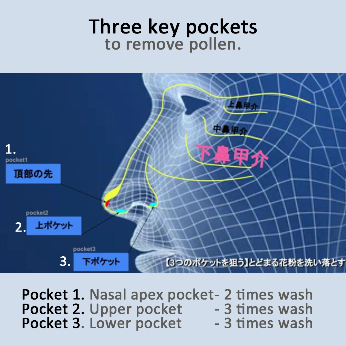 https://nht.co.nz/wp-content/uploads/2025/02/nose_pockets_standardbrush.png