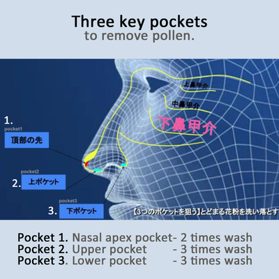 https://nht.co.nz/wp-content/uploads/2025/02/nose_pockets_standardbrush.png