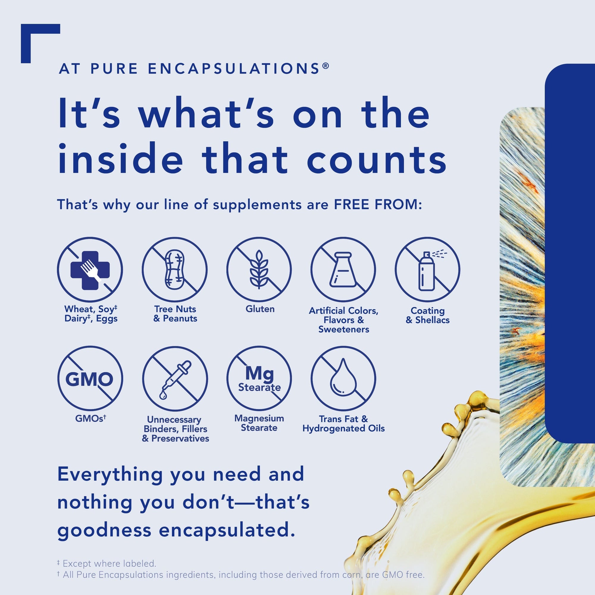 https://cdn.shopify.com/s/files/1/0283/6145/7698/files/pure-inside_PURE-US-IS-EV.jpg