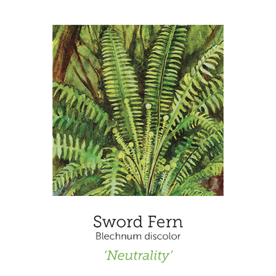 https://cdn.shopify.com/s/files/1/0871/5596/6256/files/sword-fern_1_1.png?v=1717055094