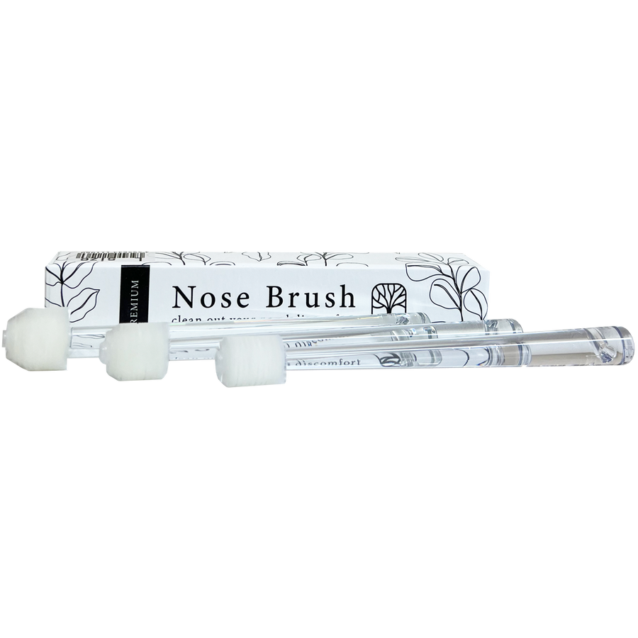 https://nht.co.nz/wp-content/uploads/2025/02/three_3_standard_brushes.png