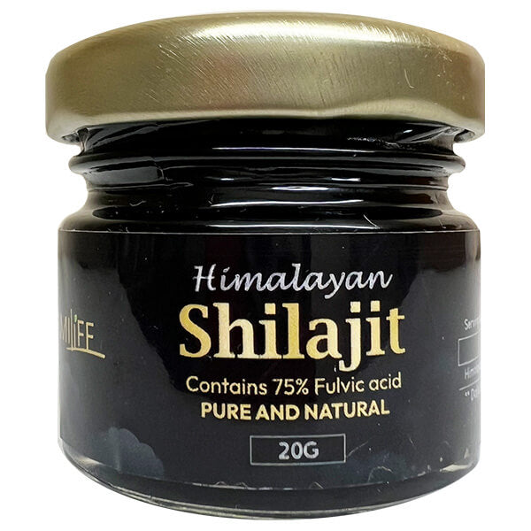 SATTVAYUR Himalayan Shilajit 20g