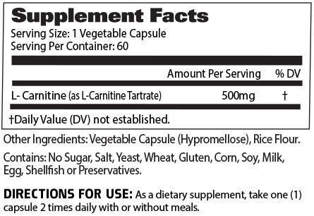 l-carnitine gat when to take Essentials Liquid 3000MG AMINO ACID Drink (Blue Raspberry) Price in India When Should You Take L-Carnitine?