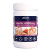 Vitafit Garlic 6000mg 90 Caps